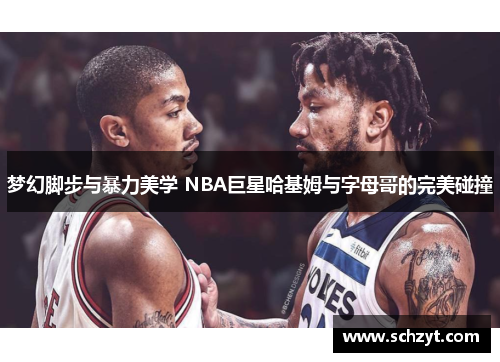 梦幻脚步与暴力美学 NBA巨星哈基姆与字母哥的完美碰撞